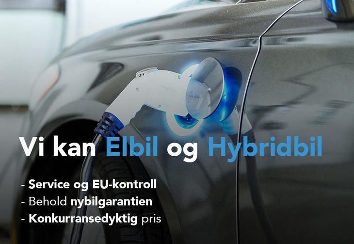 Vi kan elbil og hybridbil